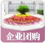 �ʻ��Ź��� �����Ź��ʻ� ��Ϧ�ʻ��Ź� ���˽��ʻ��Ź� �����ʻ��Ź�