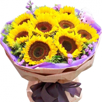 太阳花的花语是什么,送太阳花代表什么意思？