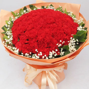 红色康乃馨花语的花语是什么？