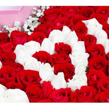 情人节送花,不同玫瑰朵数的含义分别是什么？